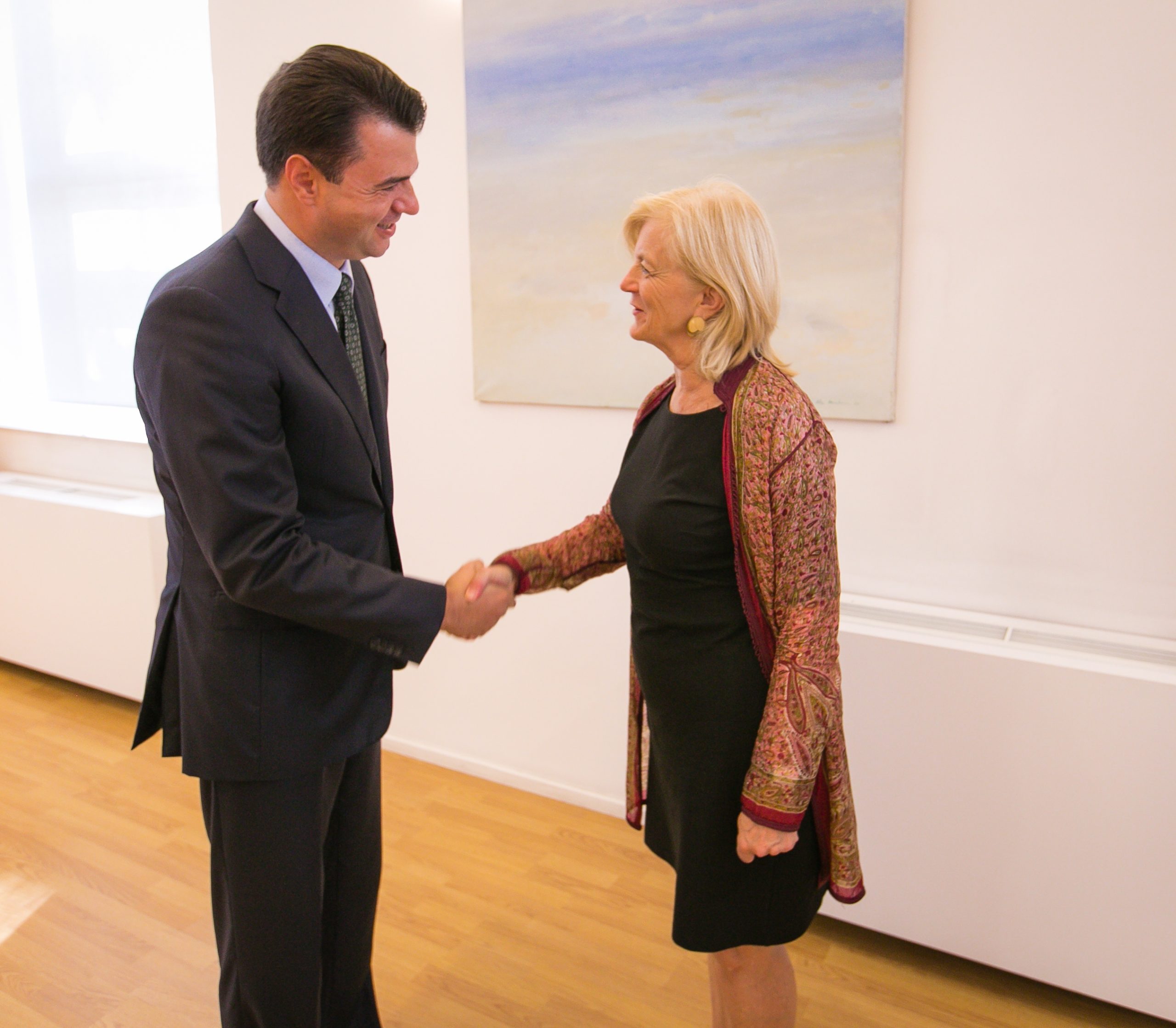 Basha takohet me Krye Zv. Ndihmës Sekretaren e Shtetit, Znj. Elisabeth Millard