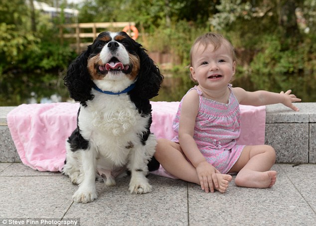 Foshnja po mbytej në dhomë, qeni hero e shpëton!