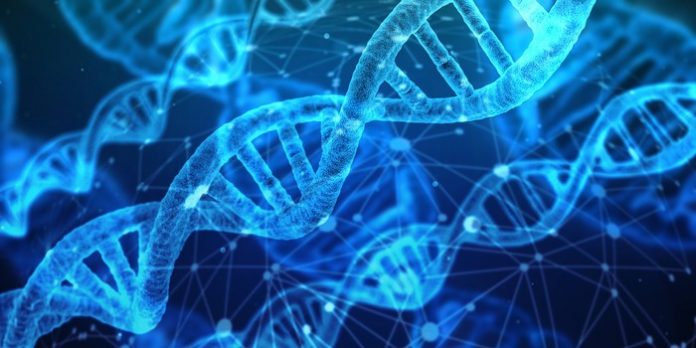 Gjenomi i njeriut po zvogëlohet, ka më pak gjene nga se mendohej