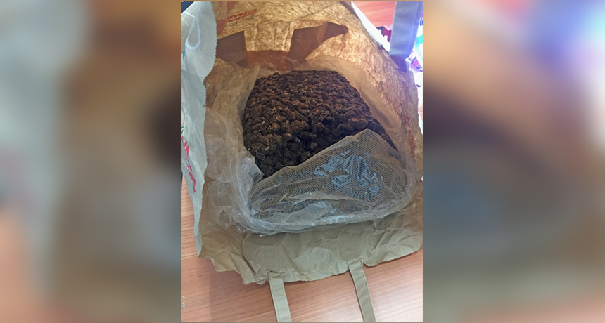 Tatuazhet e shqiptarit zbulojnë grupin kriminal të drogës, ishte ai drejtuesi