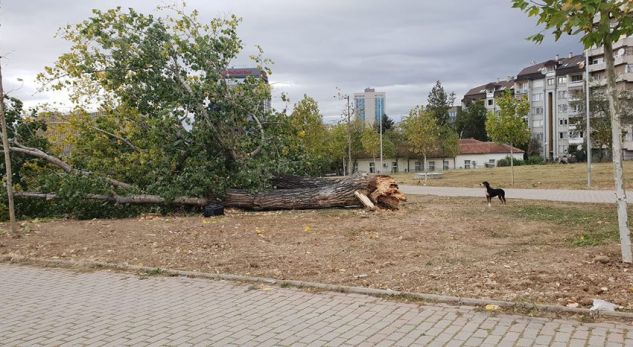 Lëndohet një person nga erërat e forta në Prishtinë