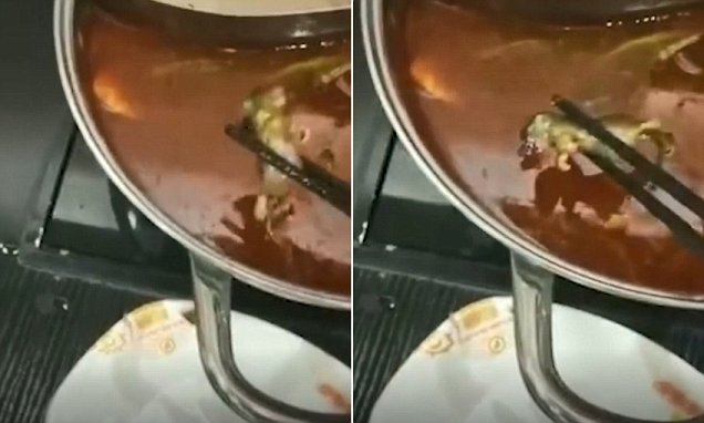 Gruaja shtatzënë gjen miun e ngodhur në supën që porositi në restorant