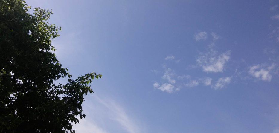 Parashikimi i motit, e martë 18 shtator