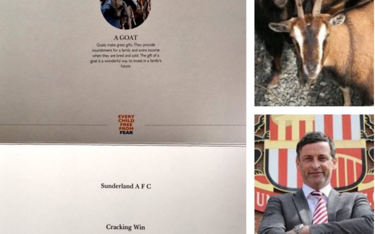 Premtimi i çuditshëm, një fitore vlen një… dhi