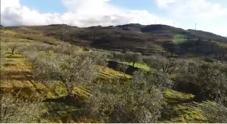 Thirrja e Ramës për fermerët: Bëhu pronar i tokës tënde! (VIDEO)