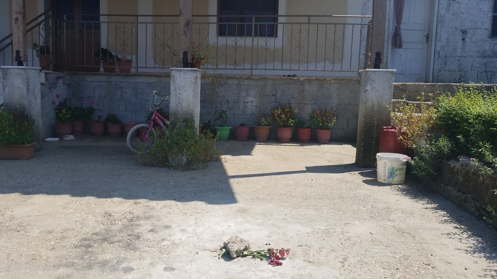 Me të mbijetuarit e masakrës me 8 viktima (FOTO)