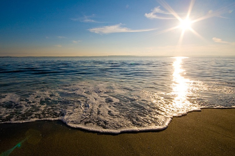 Parashikimi i motit, e premte 14 shtator