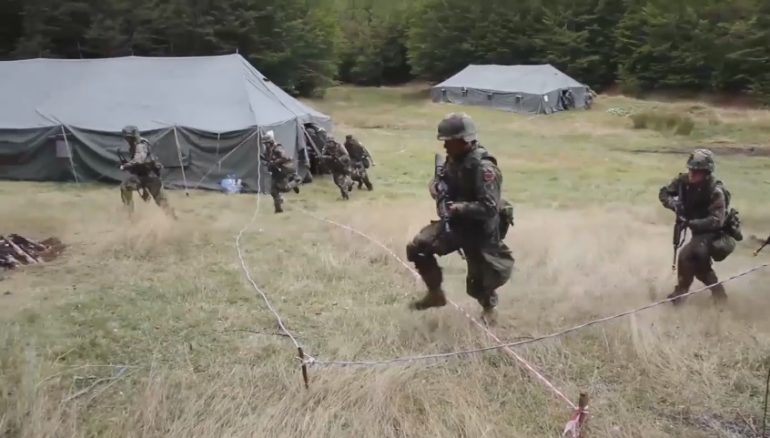 Parada ushtarake, shqiptarët dhe aleatët “tregojnë forcën”
