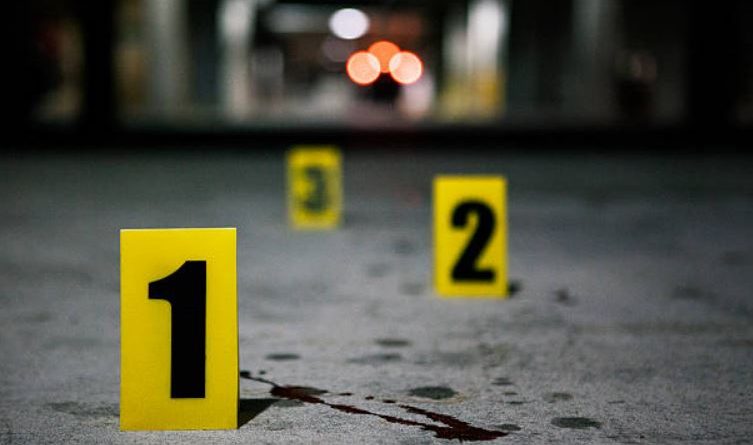 Tritol banesës së biznesmenit (EMRI)