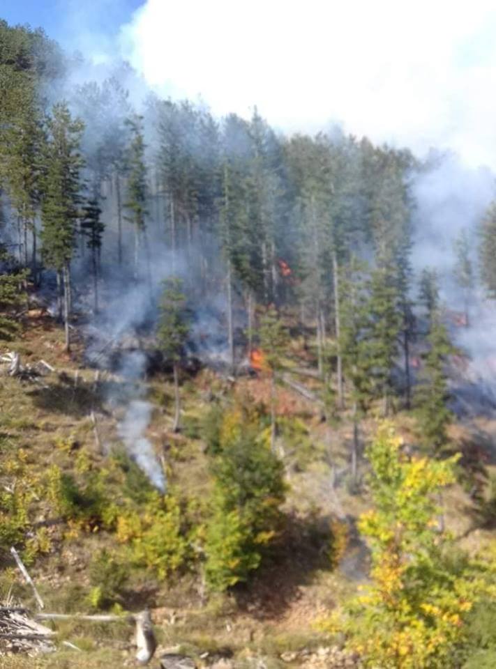 Zjarr në Parkun Kombëtar të Lurës (FOTO)