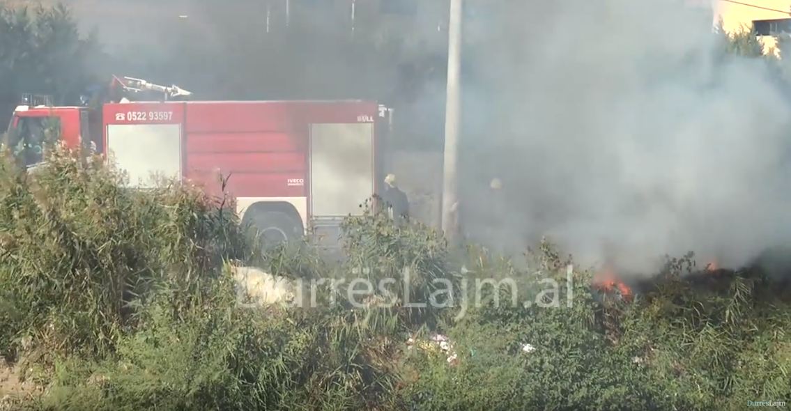 Digjen gomat në Shkozet, tymi mbulon edhe Plazhin (VIDEO-FOTO)