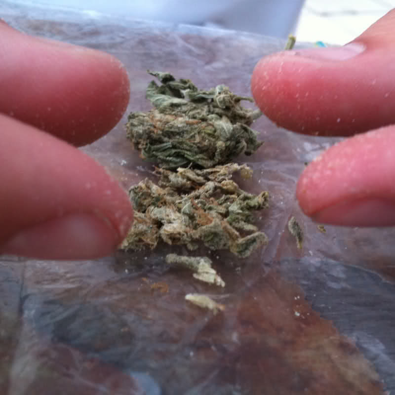 15-vjeçari nga Durrësi kapet me 4 doza kanabis