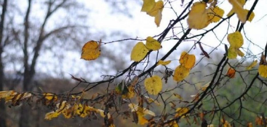 Parashikimi i motit, e diel 28 tetor