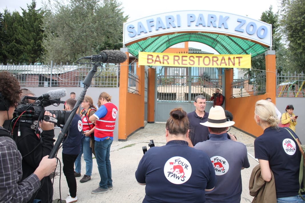 FOTO/ Kafshët e “Safari Park” transferohen në Tiranë