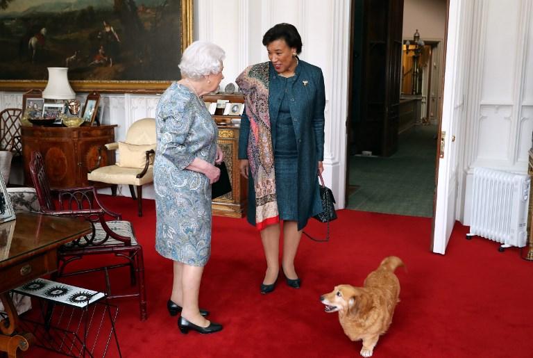 Mbretëresha Elisabetta në zi, i thotë ‘lamtumirë’ Whisper-it