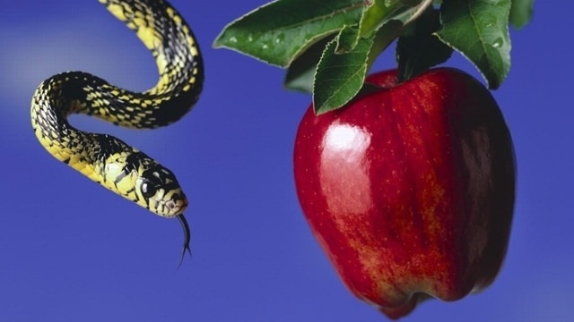 Më thuaj shenjën e horoskopit, të të them çfarë mëkati bën