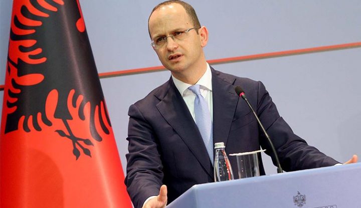 Bushati: Votimi për emrin e ri, një hap para për Maqedoninë