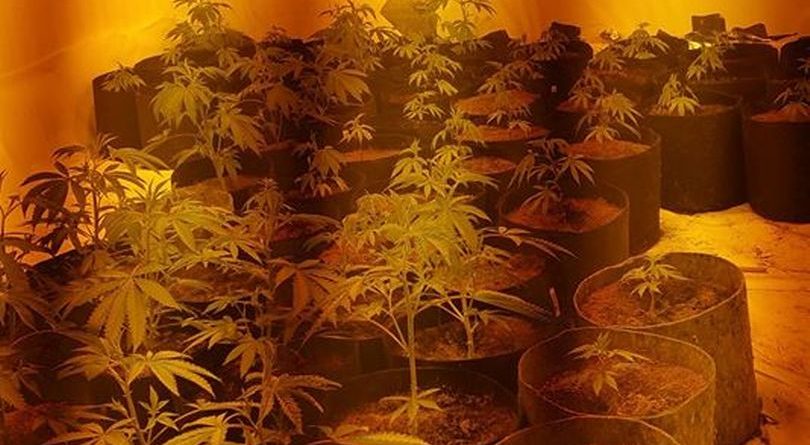 Një dhomë gjumi jashtë normales, në pranga dy shqiptarë