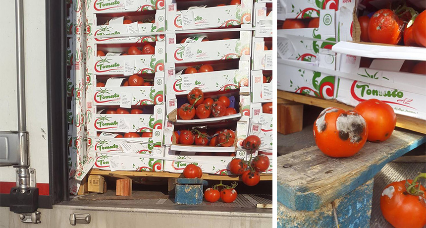 Bllokohen mbi 13 tonë produkte ushqimore në Durrës dhe pikat e tjera doganore