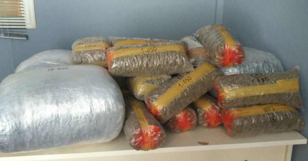 15 kg kanabis në banesë, arrestohet nga policia