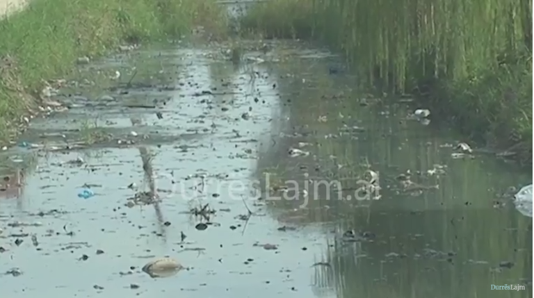 Kanali u përshkon mes për mes lagjen, banorët e Shkozetit: Po na sëmur! (VIDEO)