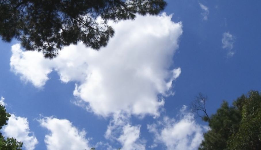 Parashikimi i motit, e martë 2 tetor