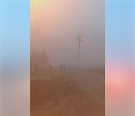 Denoncimi/ “Tymi dhe bloza e Gjushit po vret ngadalë banorët” (VIDEO)