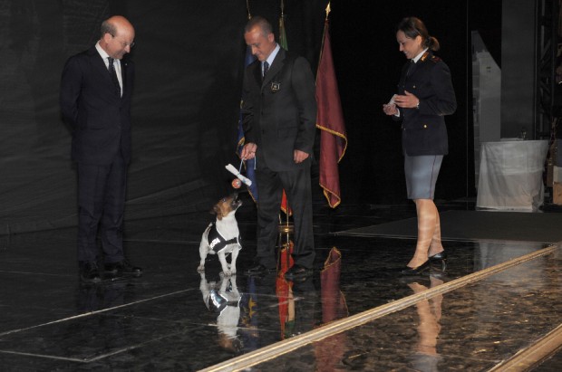 “Polici” me 4 këmbë që është i dënuar me vdekje nga Camorra