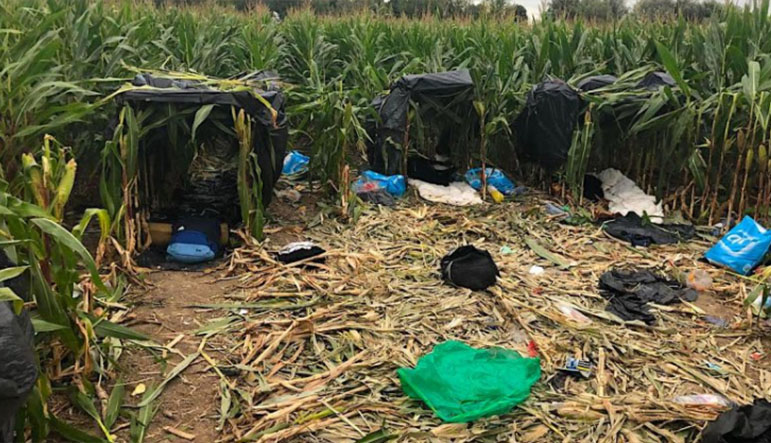 Rruga e re e shqiptarëve për në Angli