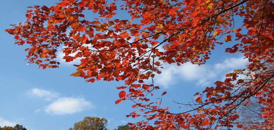 Parashikimi i motit, e hënë 29 tetor