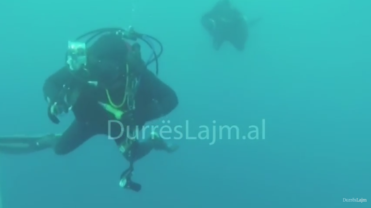 Alarmante, zhytësit e paligjshëm po bëjnë kërdinë në ujërat shqiptare (VIDEO)