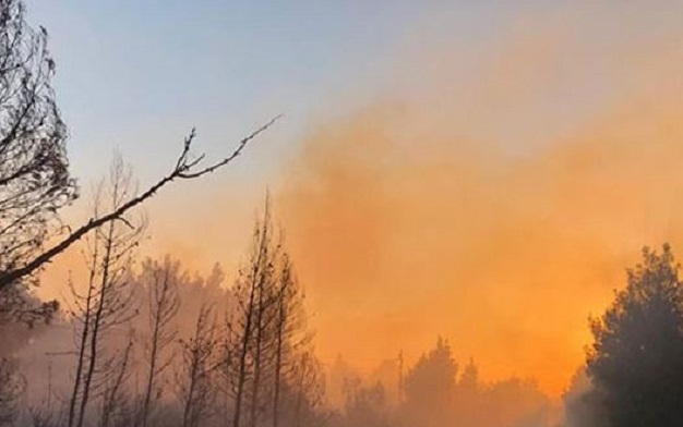 Zjarr i madh në pyjet e Halkidikisë në Greqi