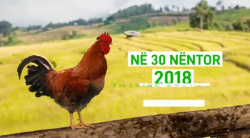 “Aplikoni duke filluar nga 30 nëntori”, Rama ka një ftesë për shqiptarët (VIDEO)