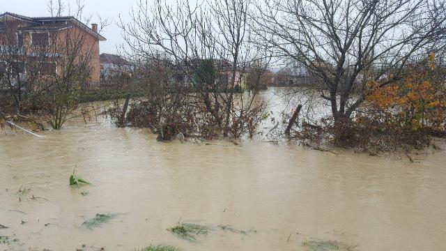Reshjet e dendura të shiut, lumi Vjosë del nga shtrati