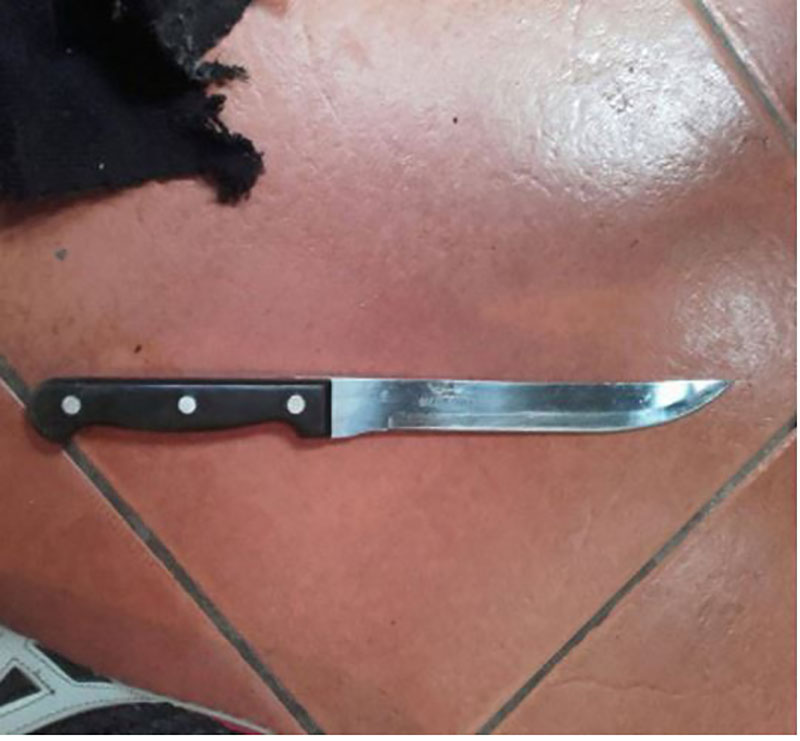 Babai ngul thikën në qafë në shtëpinë e vajzës, vdes në spital