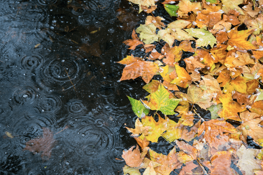 Parashikimi i motit, e diel 18 nëntor