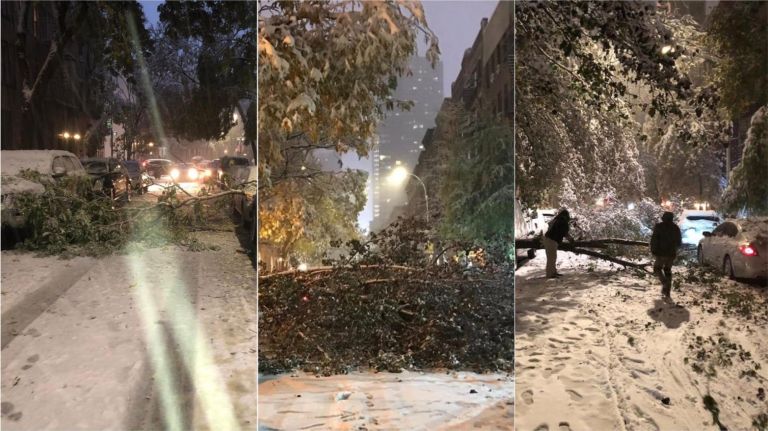 Bora e parë e sezonit në Nju Jork shkakton kaos (FOTO)