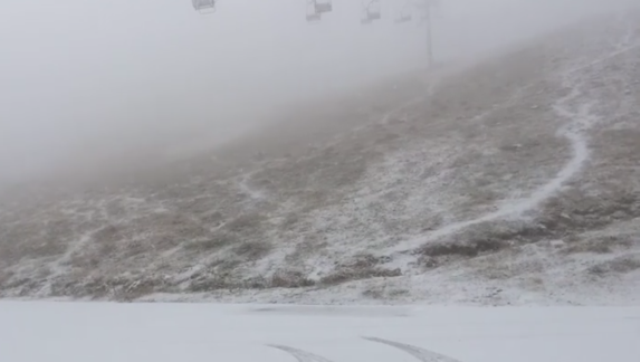 Brezovica mbulohet nga bora