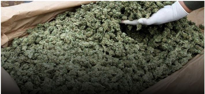 Drogë nga Shqipëria në Maqedoni, goditet grupi i trafikantëve