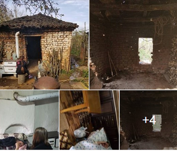 Plaku Mustafë “trafikanti” dhe i shumëkërkuari Admir “biznesmeni”!