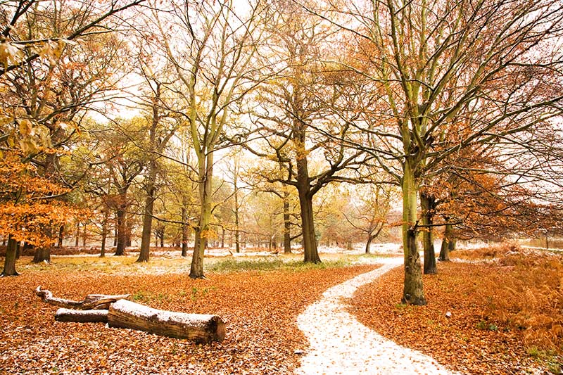 Ulen temperaturat, parashikimi i motit 16 nëntor