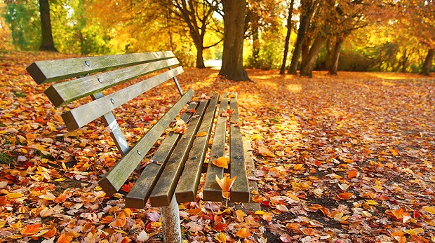 Parashikimi i motit, e premte 9 nëntor