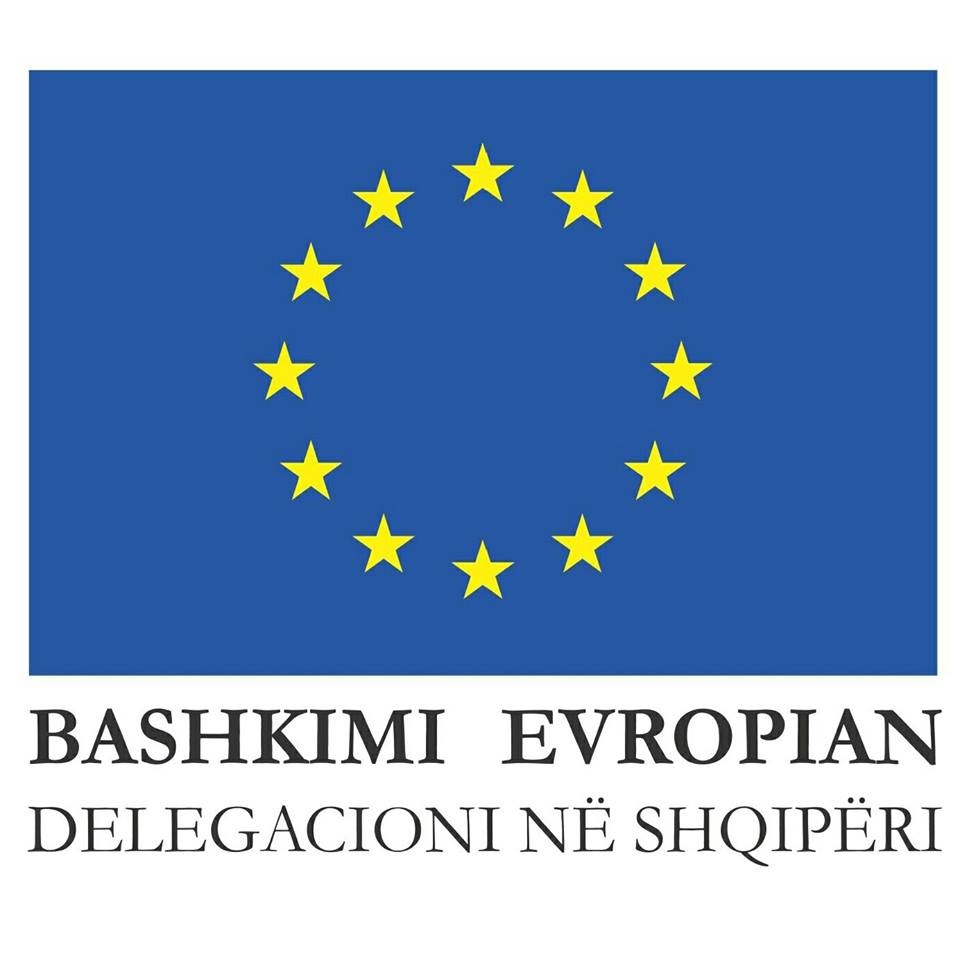 Delegacioni i BE-së për protestën: Koha për dialog që kërkesat të marrin zgjidhje