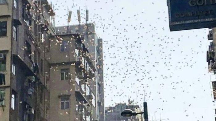 Hodhi paratë nga pallati, por bie në pranga (FOTO)