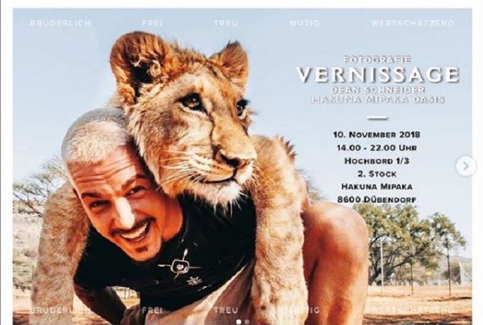 Lë Zvicrën për të jetuar mes luanëve, dhe ja si ia kthejnë kafshët (VIDEO)