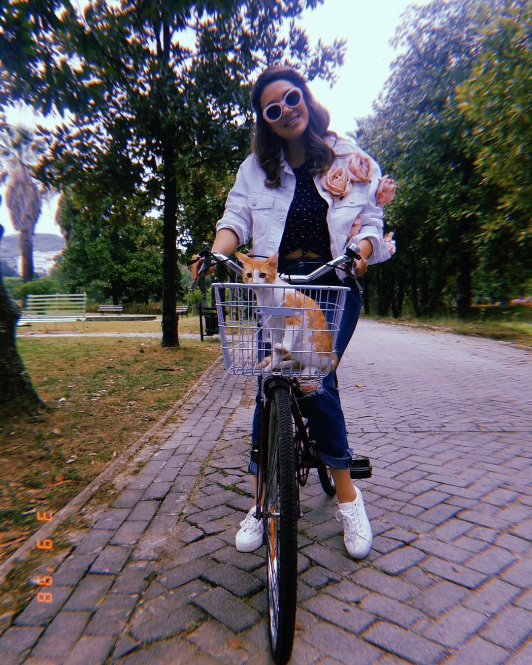 Pas vrasjes në ish-Bllok, fansat kanë nisur të braktisin Elvana Gjatën