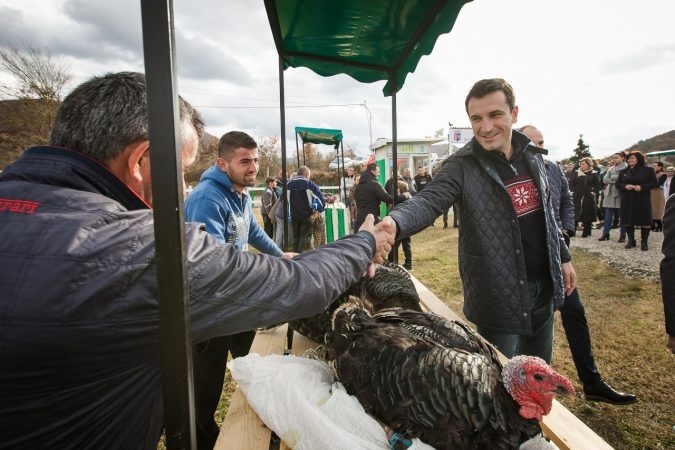 Festat e fundvitit, hapet tregu i shpendëve të gjalla në Baldushk