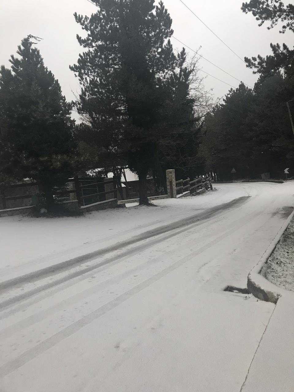 Llogaraja zbardhet nga bora, vështirësi në qarkullimin e automjeteve