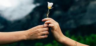 Kjo është shenja më zemërgjerë e horoskopit, të gjithë e kanë zili zemrën e saj të madhe