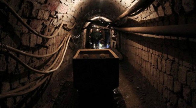 Shembet galeria, humb jetën minatori